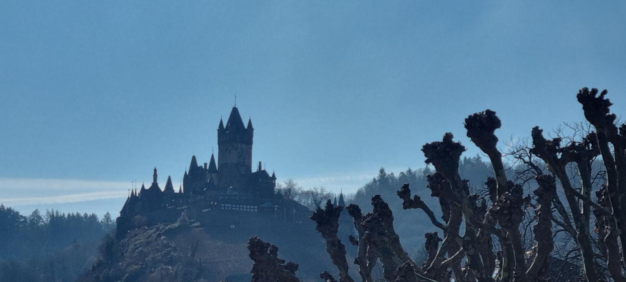 Pension Regina/Gräfenhaus Cochem Exterior foto